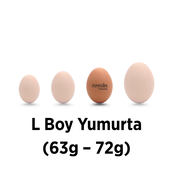 L Boy Yumurta (63g – 72g)
