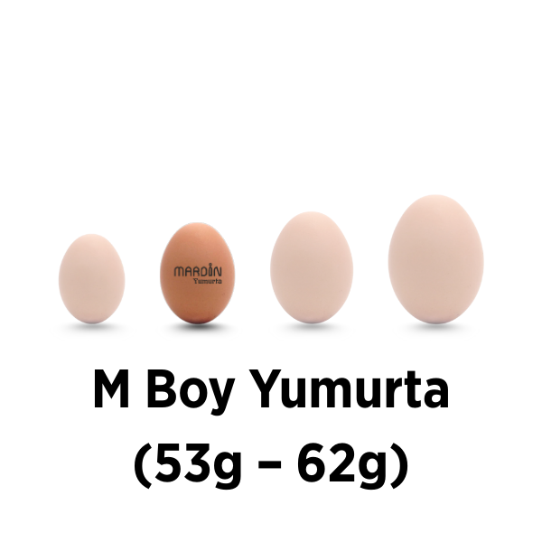  M Boy Yumurta (53g – 62g)