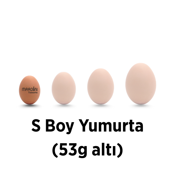 S Boy (53g altı)