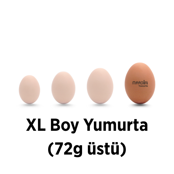 XL Boy Yumurta (72g üstü)